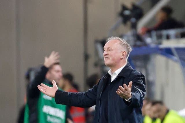 Michael O’Neill on the touchline (Geert Vanden Wijngaert/AP)
