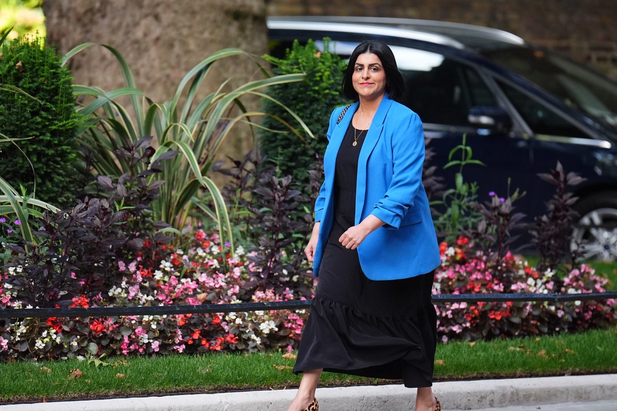 It is up to Shabana Mahmood to save the government