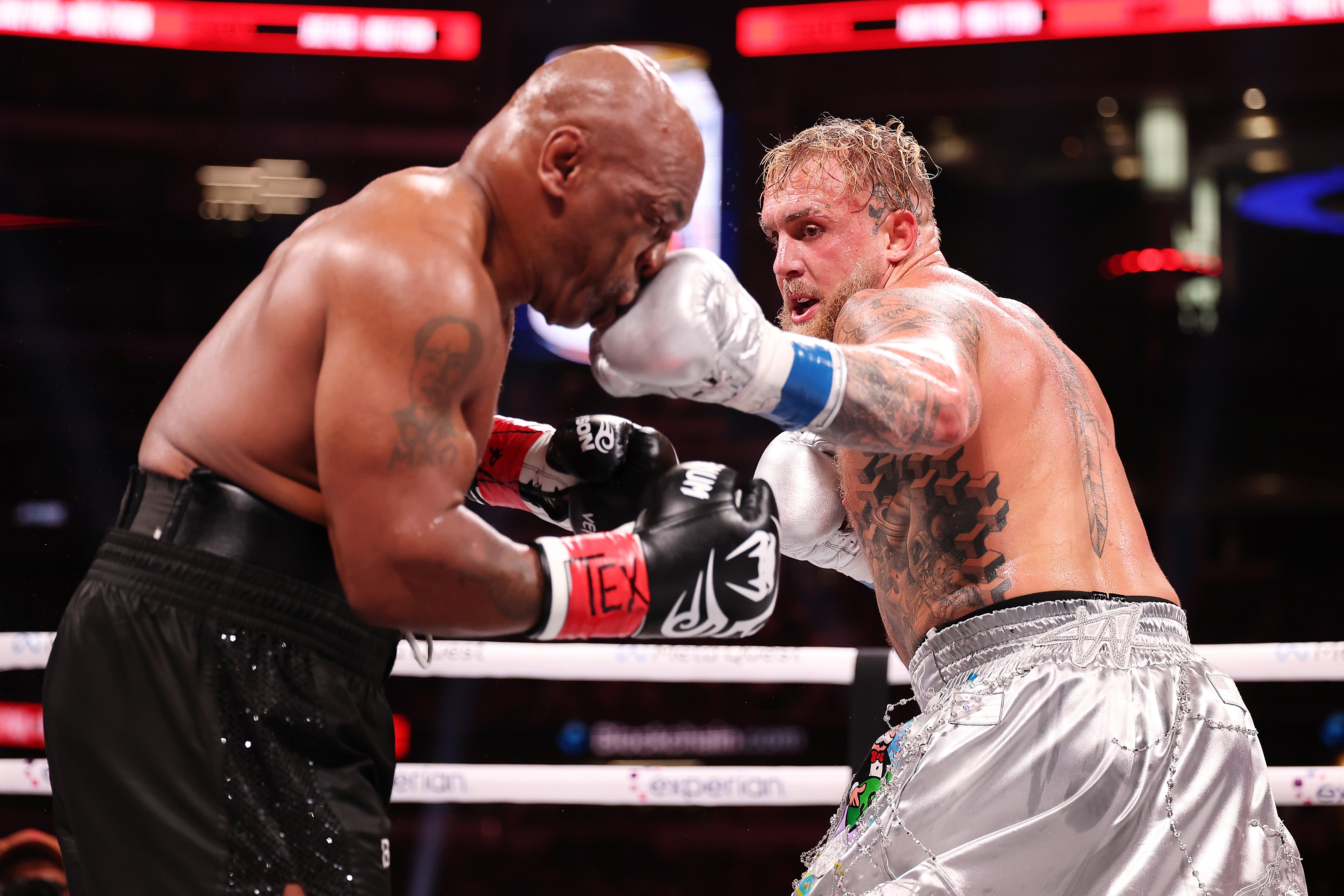 En noviembre pasado, Tyson perdió 28 años -old Boxer y Dominant Jack Paul