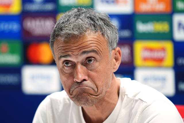 <p>Luis Enrique has suffered a fractured collarbone in a cycling accident</p>