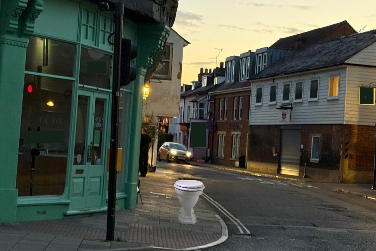If a dream can explain the toilet, what does it say about me?