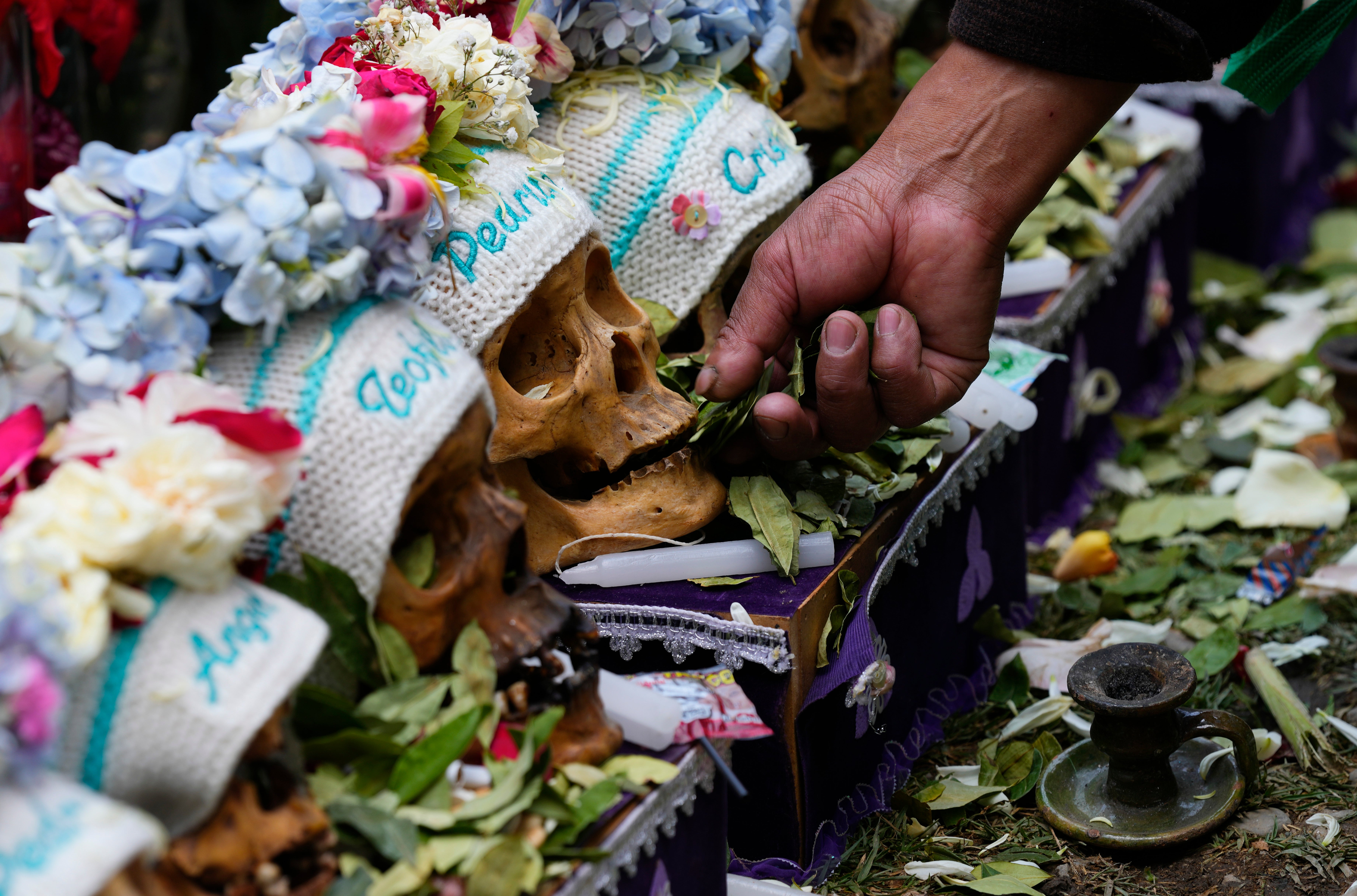 Bolivia Sacred Coca Leaf