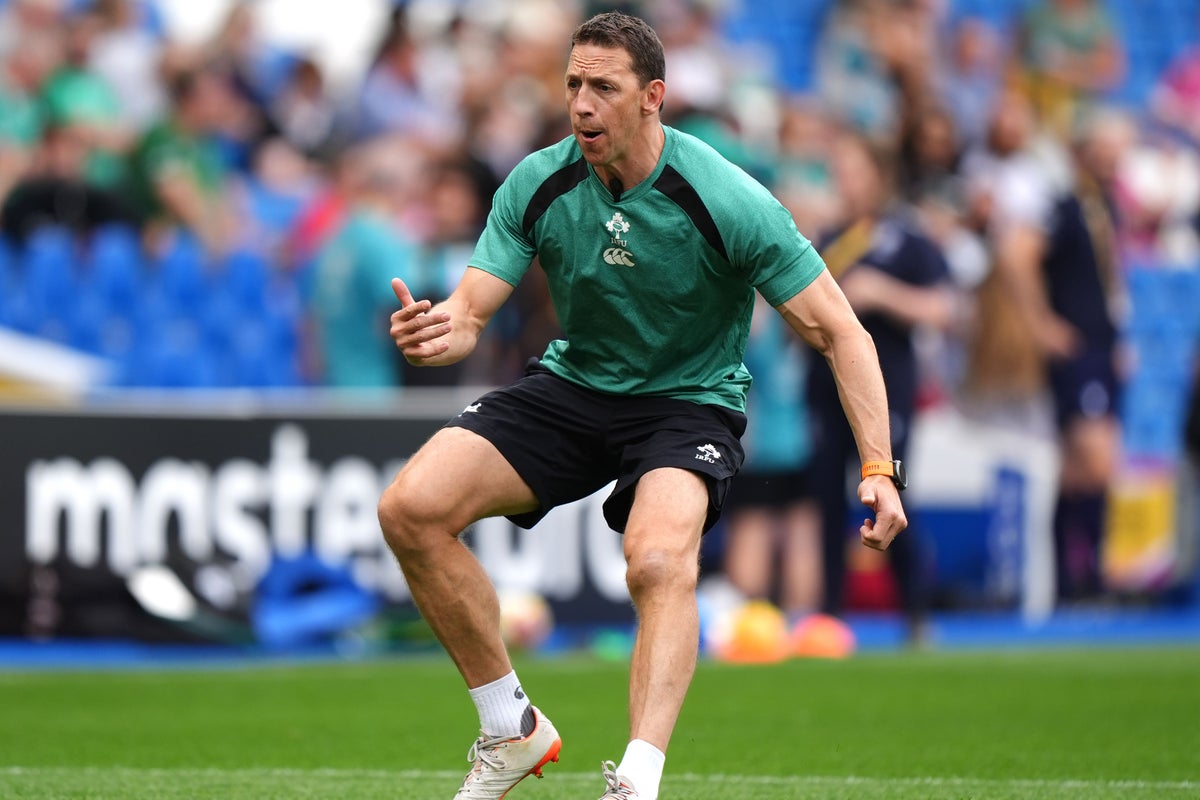 Scott Bemand does not expect lasting damage from Ireland's loss to New Zealand