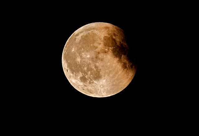 <p> A total lunar eclipse "blood moon"  visible over Liverpool </p>