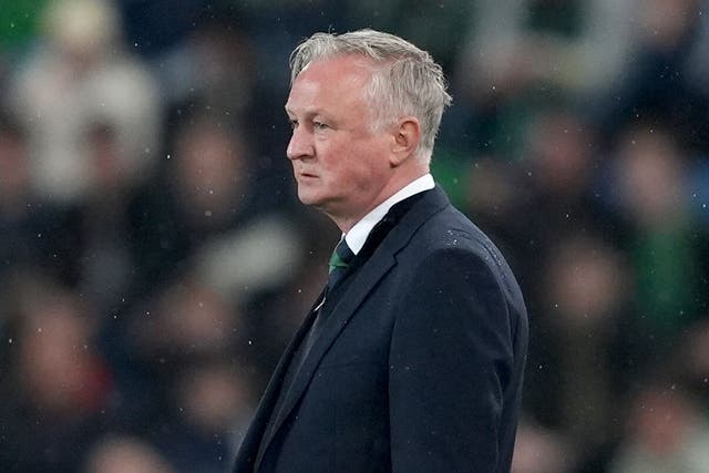 Michael O’Neill’s Northern Ireland suffered a 3-1 defeat to Germany (Brian Lawless/PA)