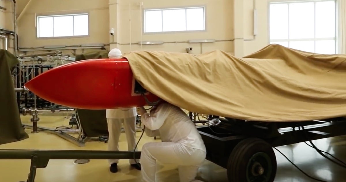Putin's new Burevestnik nuclear-capable missile