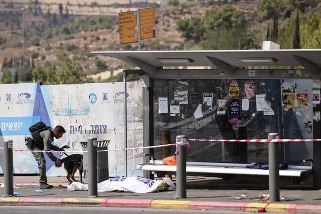 <p>A security officer and his dog work at the scene of the shooting on the outskirts of Jerusalem </p>