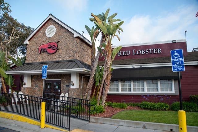 <p>Red Lobster restaurant</p>