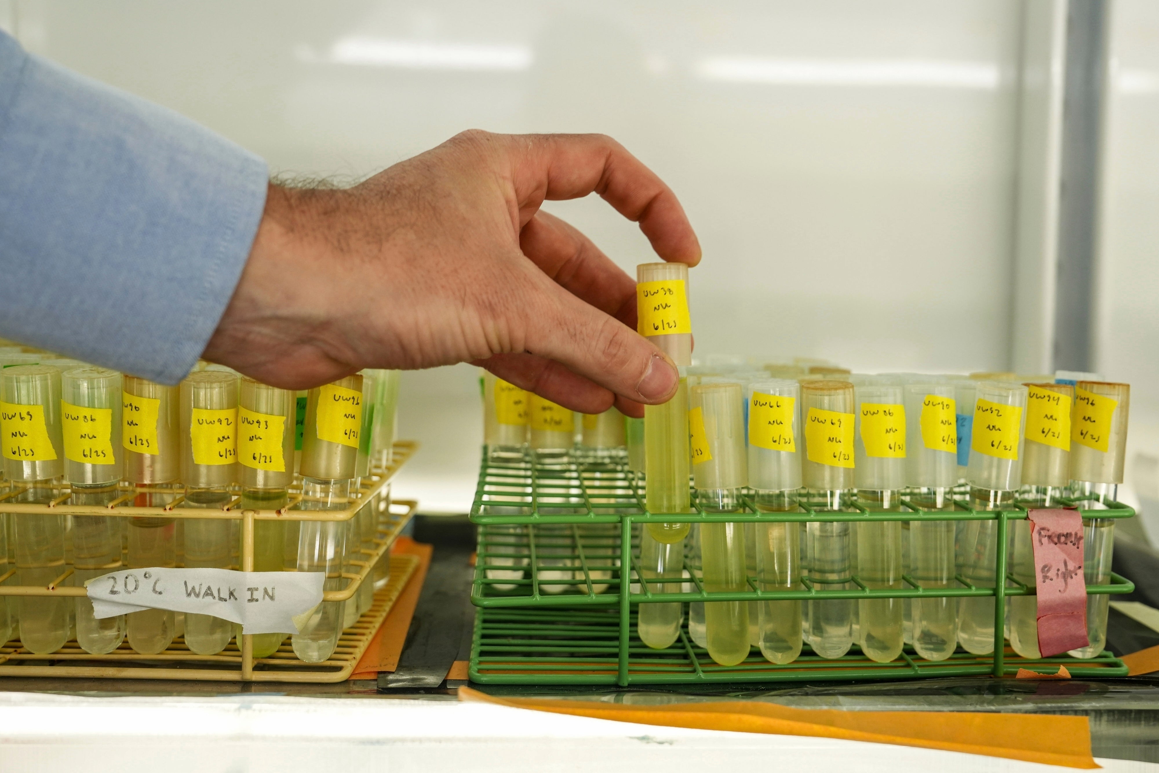 Climate Warming Waters