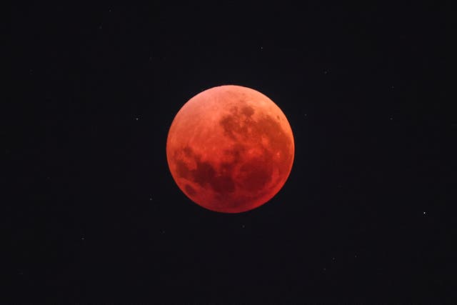 <p>The "Blood Moon" is pictured during an eclipse in the night sky over Sydney on 8 September 2025</p>