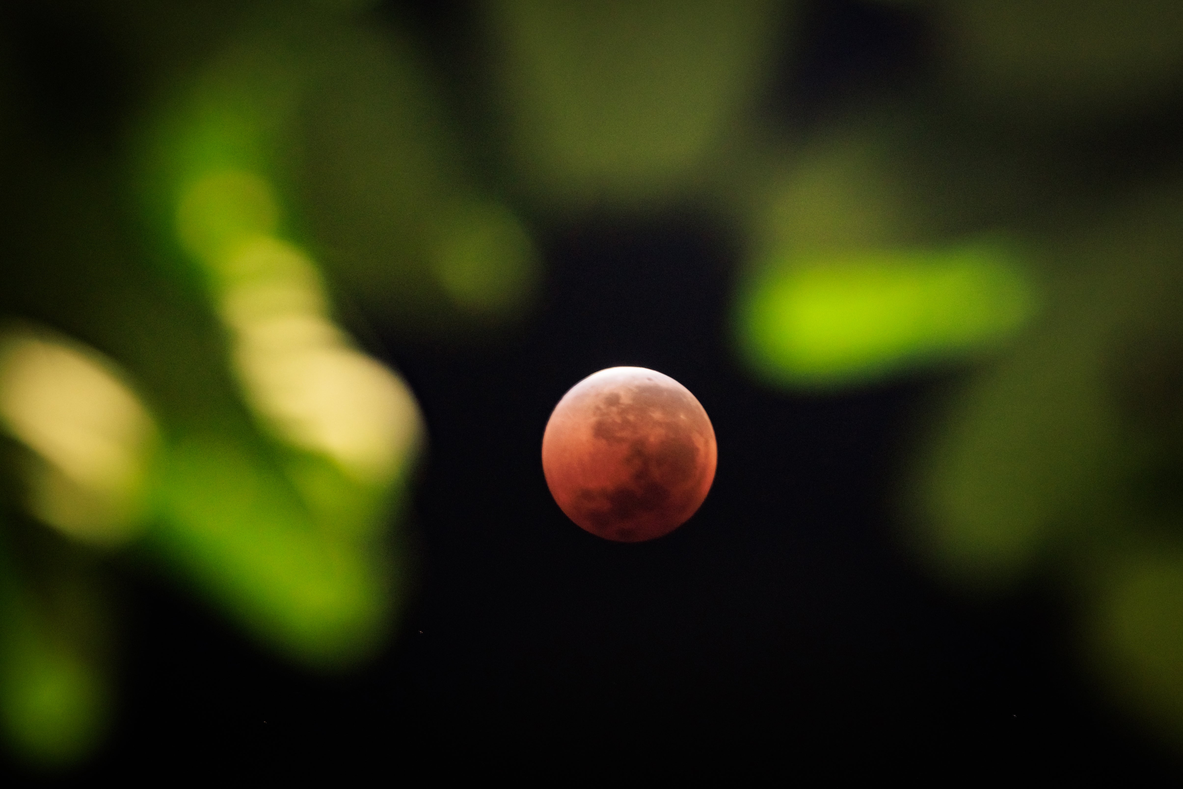 Stargazers will have a chance to see a 'Blood Moon' on Sunday night during a total lunar eclipse visible across Asia and swathes of Europe and Africa