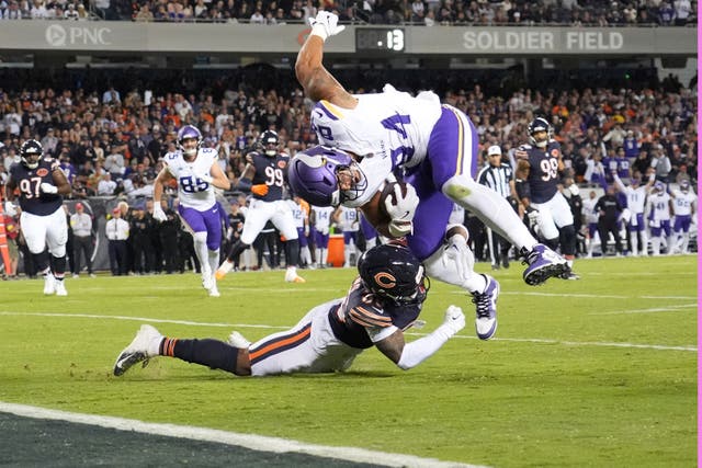 VIKINGS BEARS