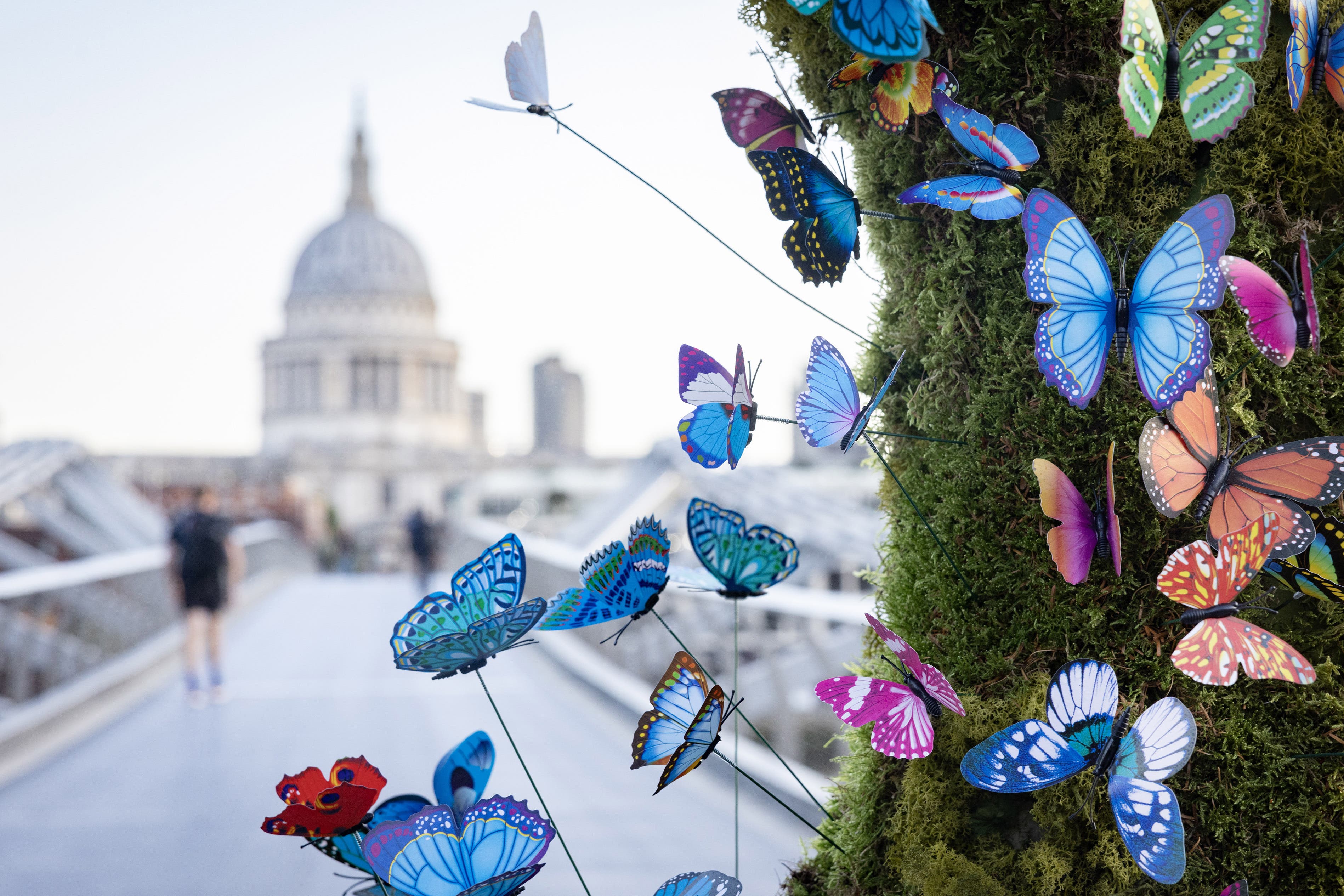 The butterfly sculpture was unveiled on the Millennium Bridge in London (Matt Alexander Media Assignments/PA)
