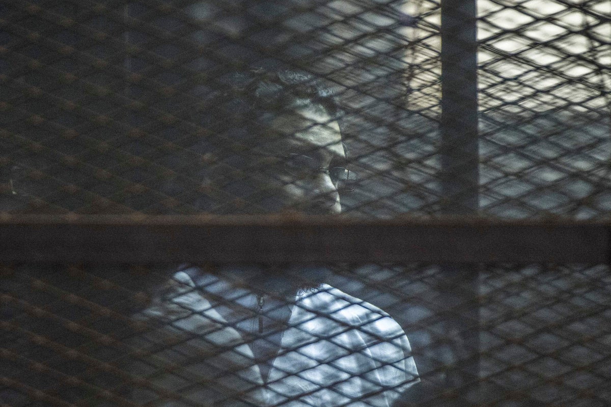 Egypt pardons British activist after six years in prison: report