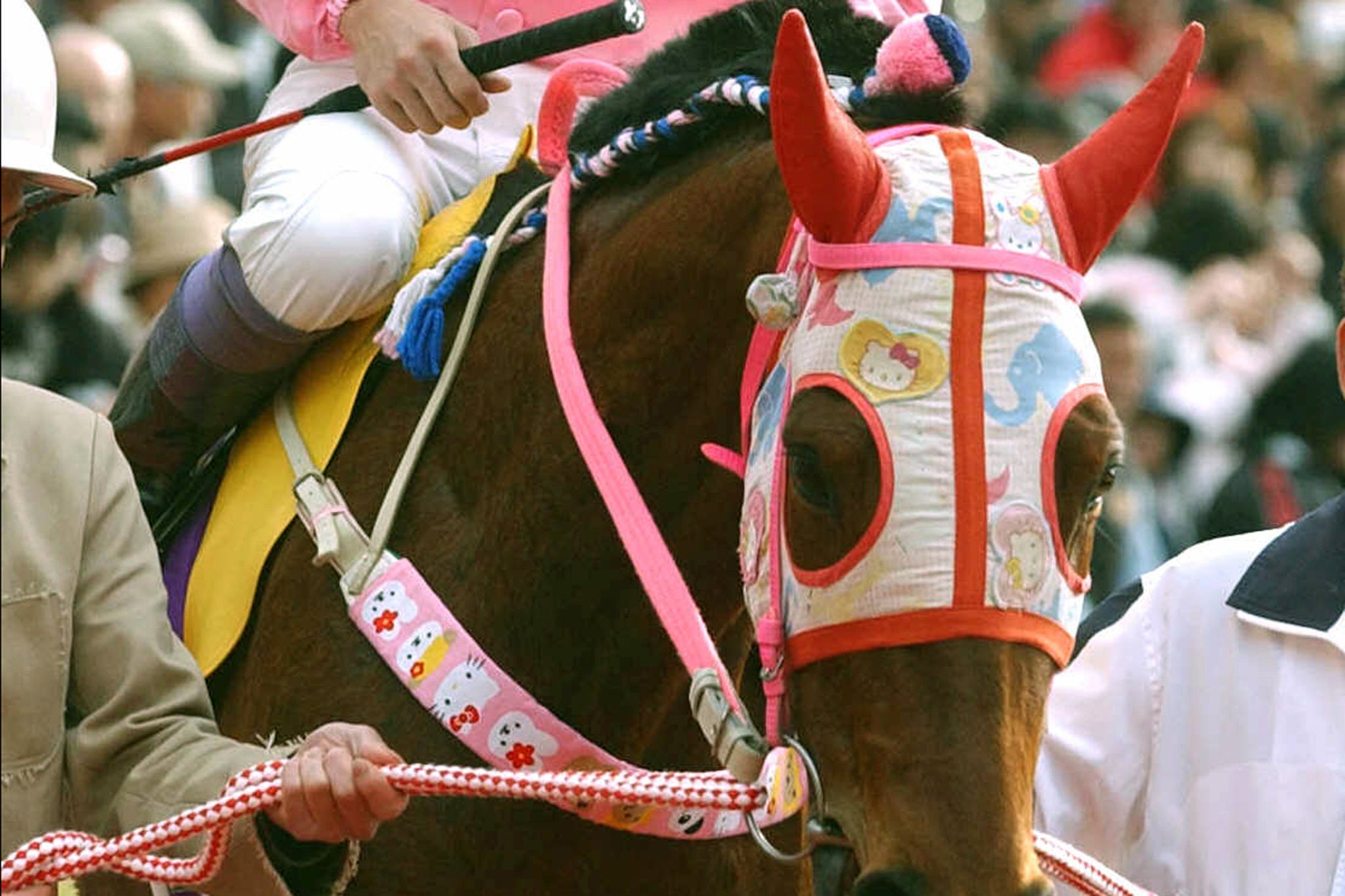 The thoroughbred mare, known for donning a pink Hello Kitty face mask while racing, was once dubbed ‘the shining star of losers everywhere’