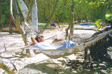 The subpoenaed Epstein files: Everything we know about latest release, including 50th birthday book with ‘Trump sketch’