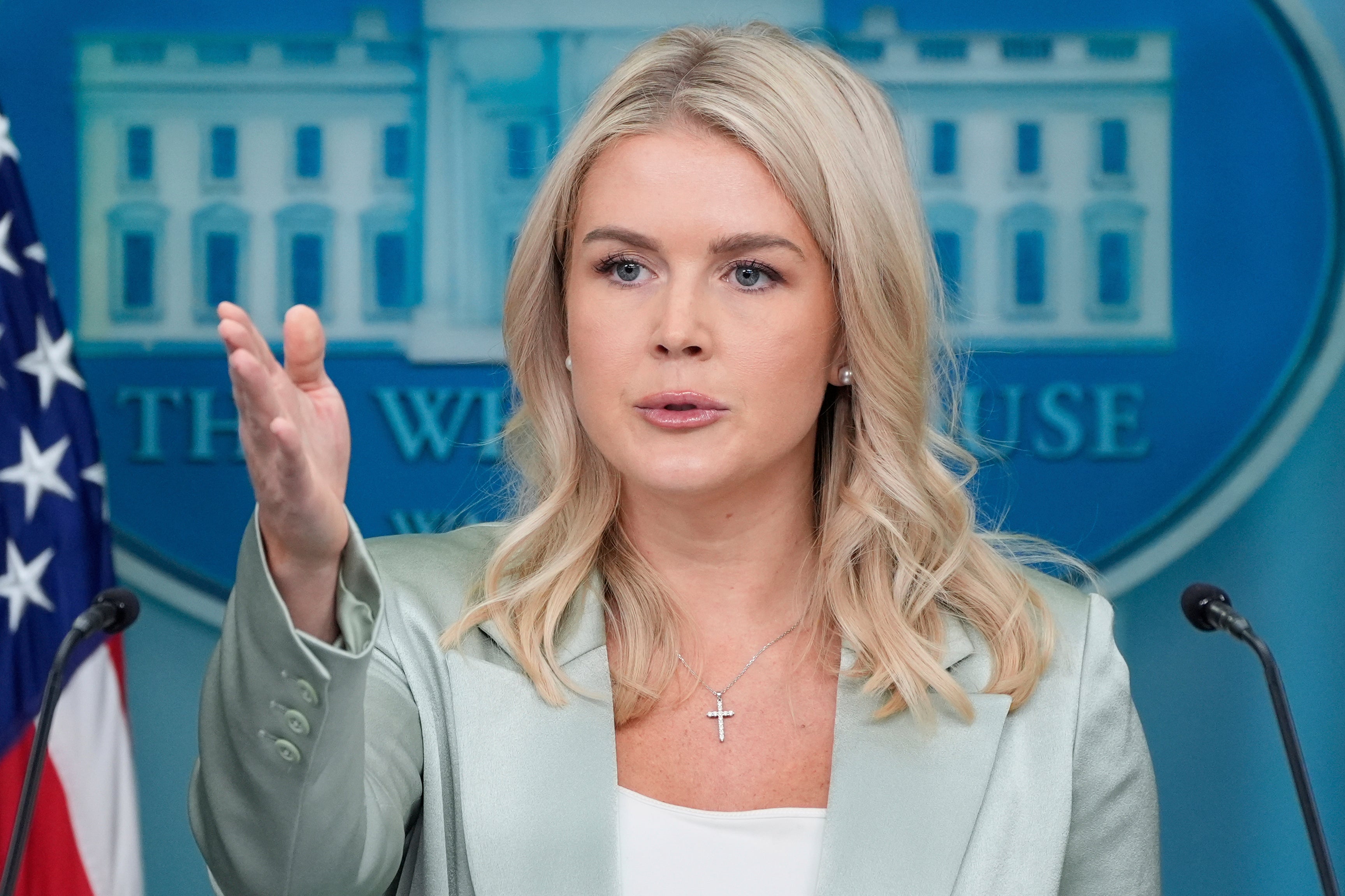 Karoline Leavitt claimed that Donald Trump was not downplaying the seriousness of domestic violence when he dismissively called ‘thinks that take place in the home’ an example of a ‘lesser’ infraction