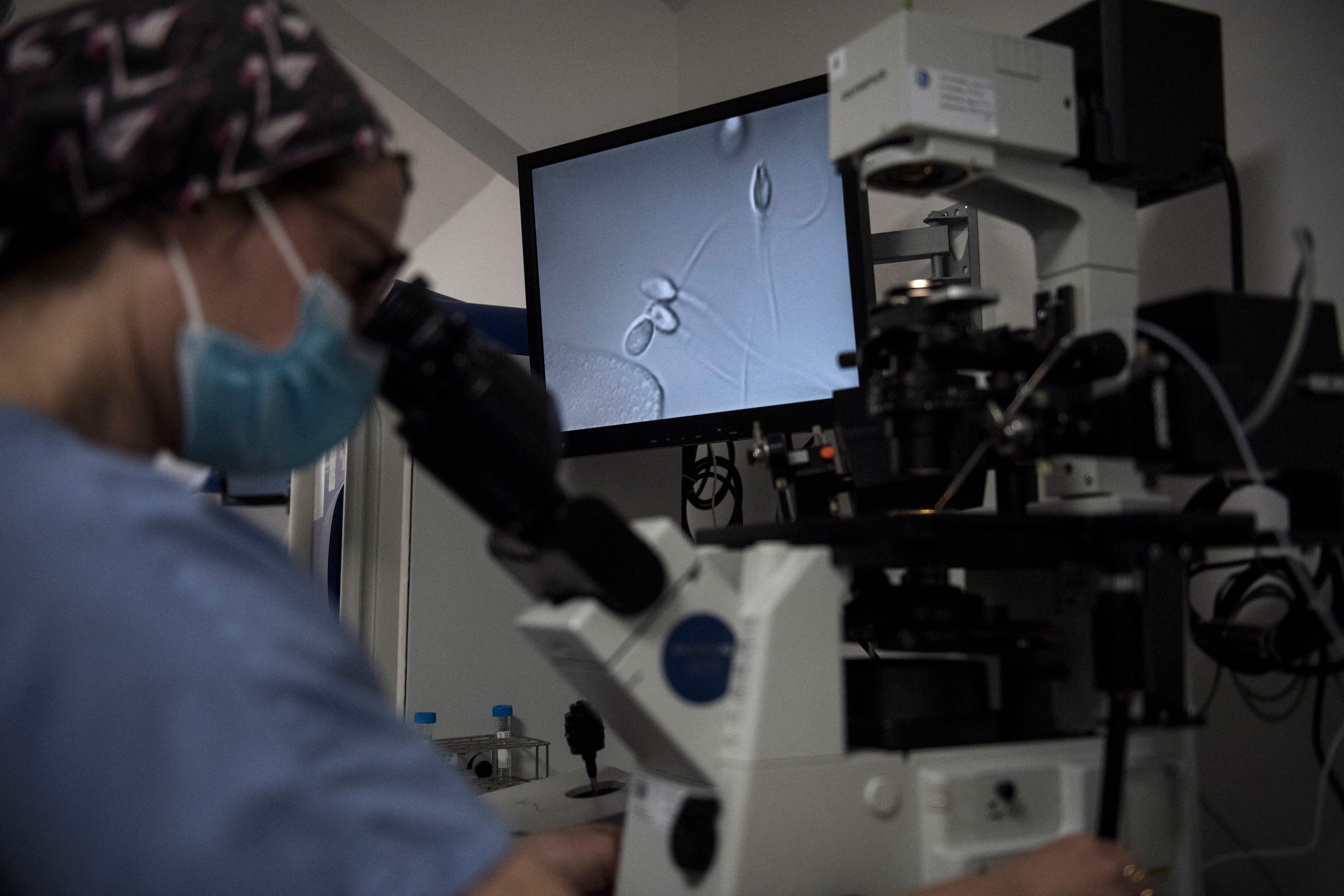 Scientists have turned sperm cells into tiny robots that they say could help improve women’s reproductive health treatment