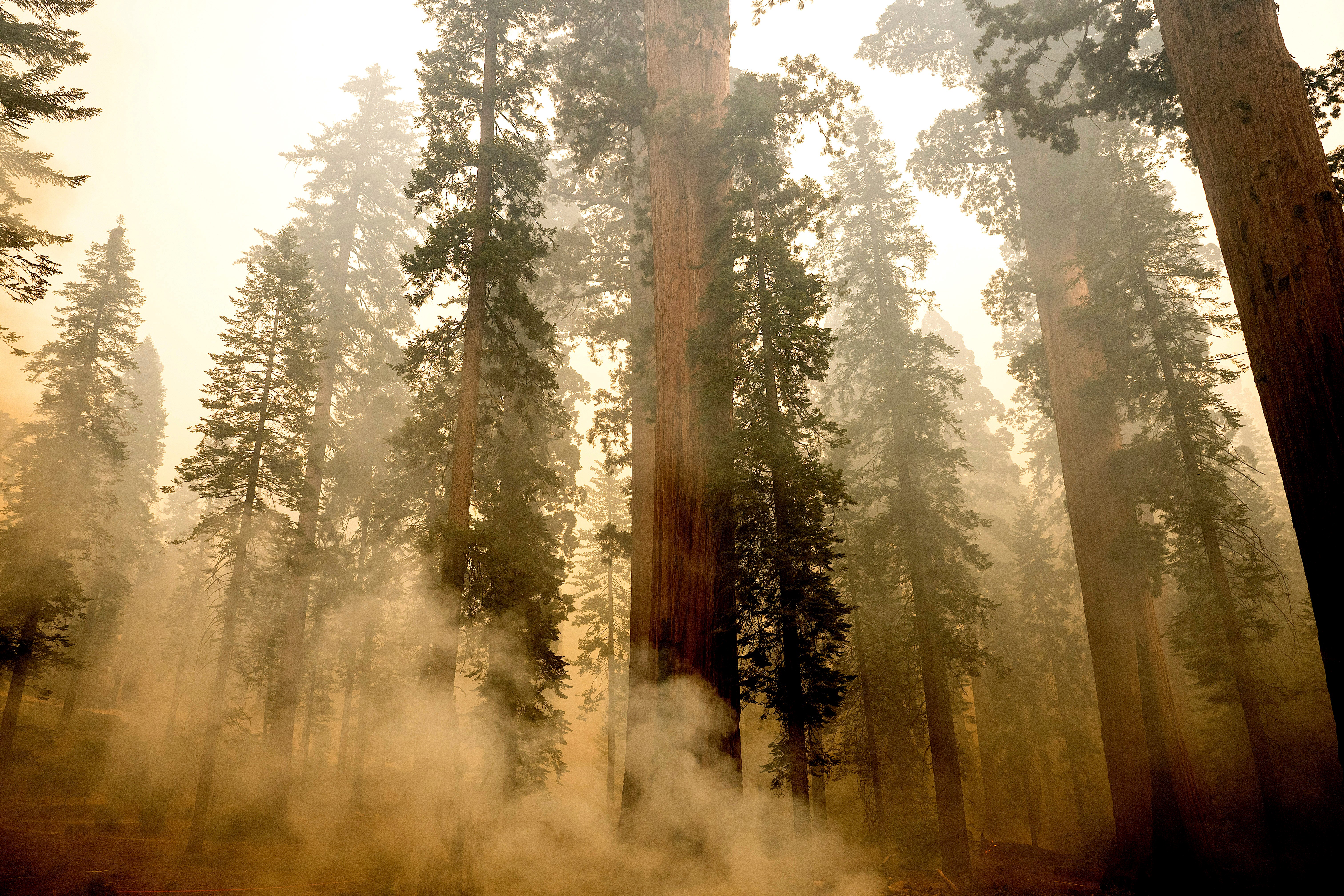 Extreme Weather California Wildfires