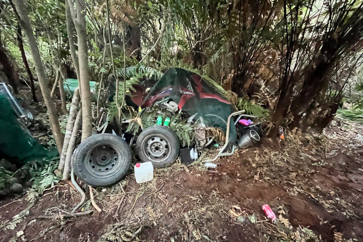Police release first photos of remote campsite where New Zealand fugitive Tom Phillips lived with his children
