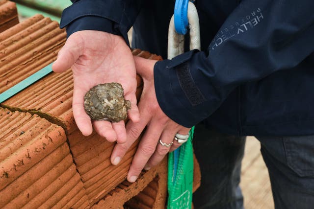 The project is being launched near Blakeney, Norfolk (Michael Leckie/PA)
