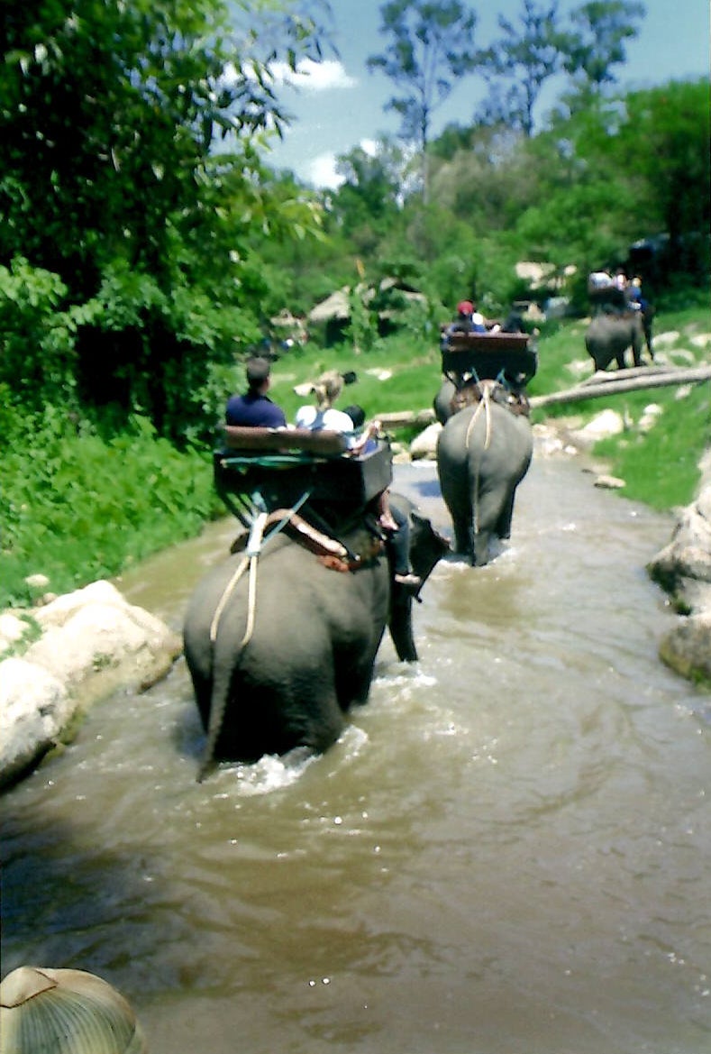 In Thailand, Rob says he watched as elephants played football and painted pictures, before going for a ride on one