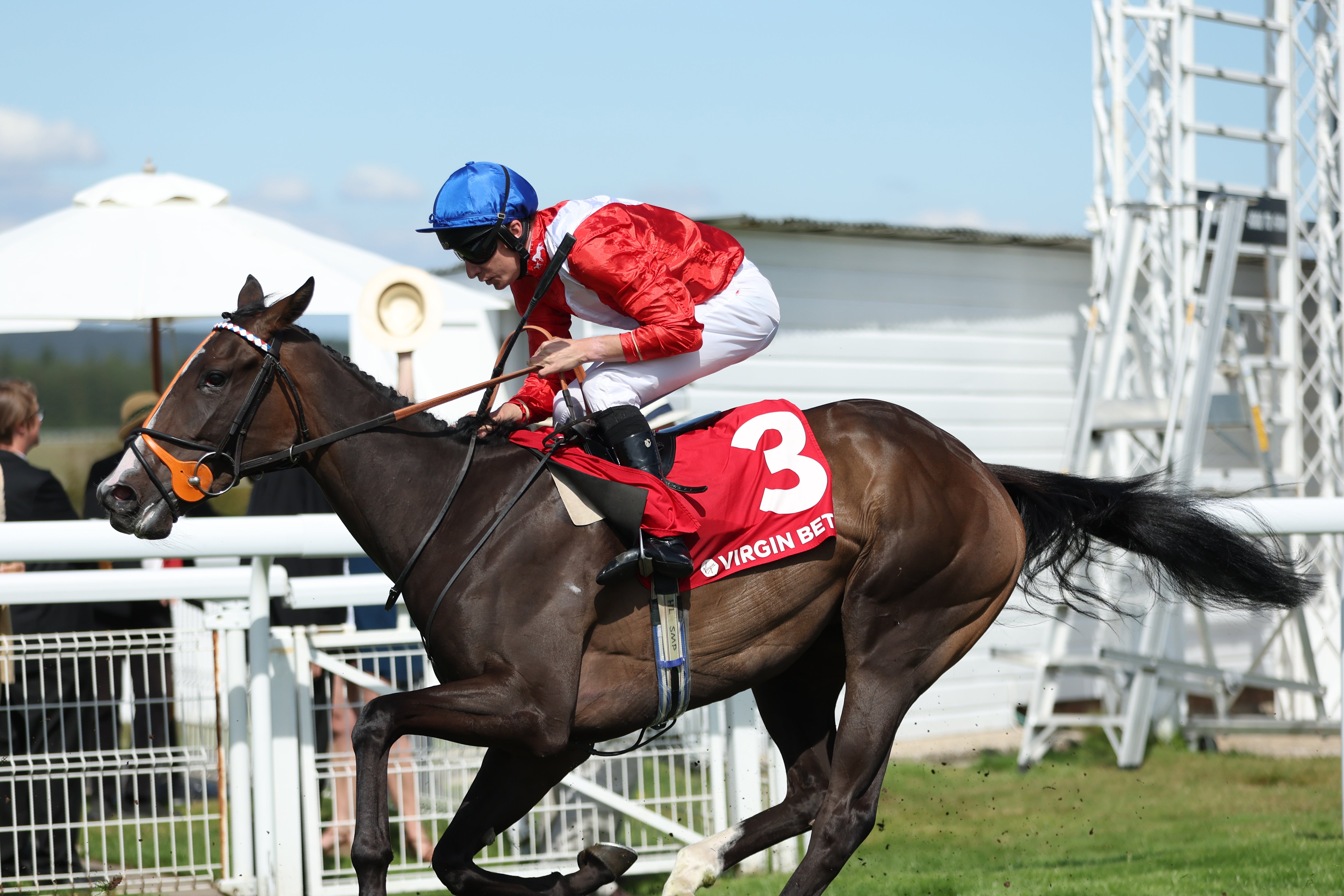 <p>Moon Target is fancied in the Betfred May Hill Stakes</p>
