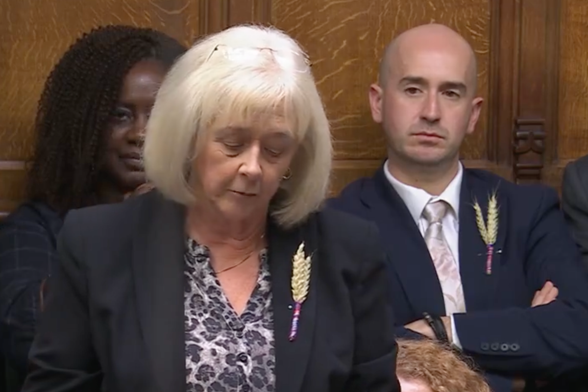 Why are MPs wearing a wheat sheaf on their lapels during PMQs? Why are MPs wearing a wheat sheaf on their lapels during PMQs?