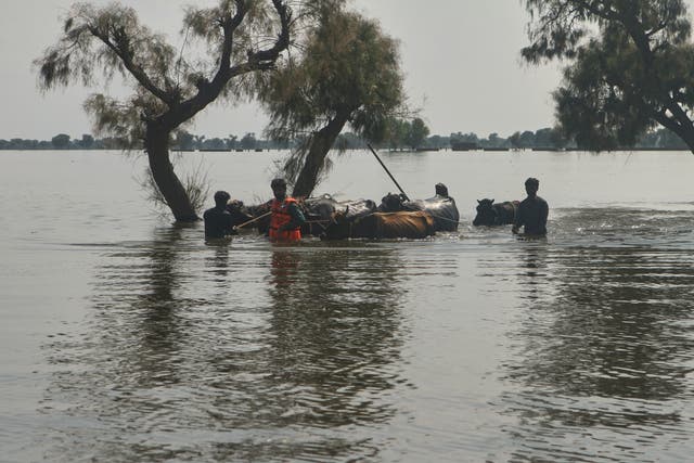Pakistan Extreme Weather Floods