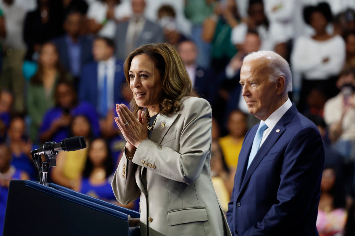 Harris shreds Biden for staying in 2024 race, calling it ‘recklessness’ and says he got tired quickly as president