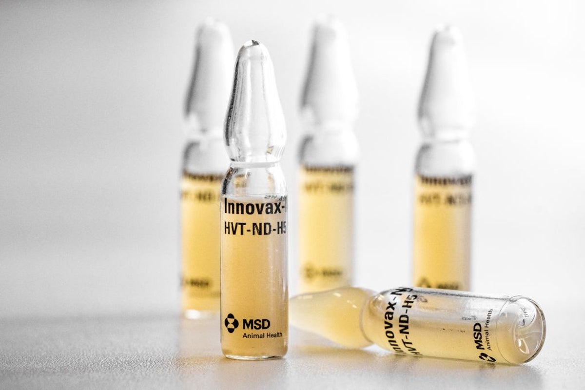 Pharma giant ditches £1bn London research hub and says UK ‘is not internationally competitive’