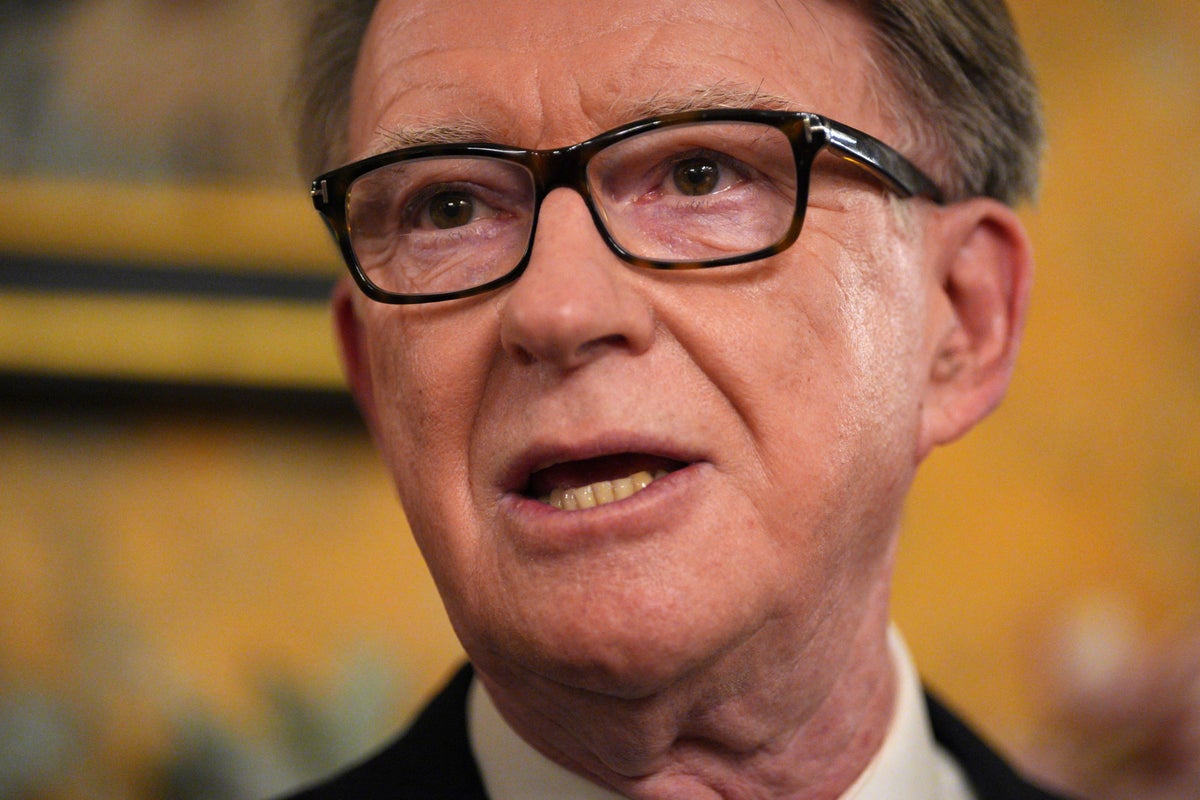 I helped bring down Mandelson before – no one should be shocked it’s happened again