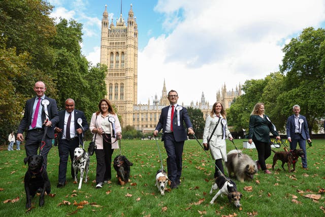 MPs walk with their dogs (Kieran Cleeves Media Assignments)