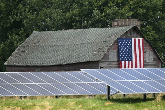 <p>Solar panels in Westby, Wisconsin, on 5 September, 2024</p>