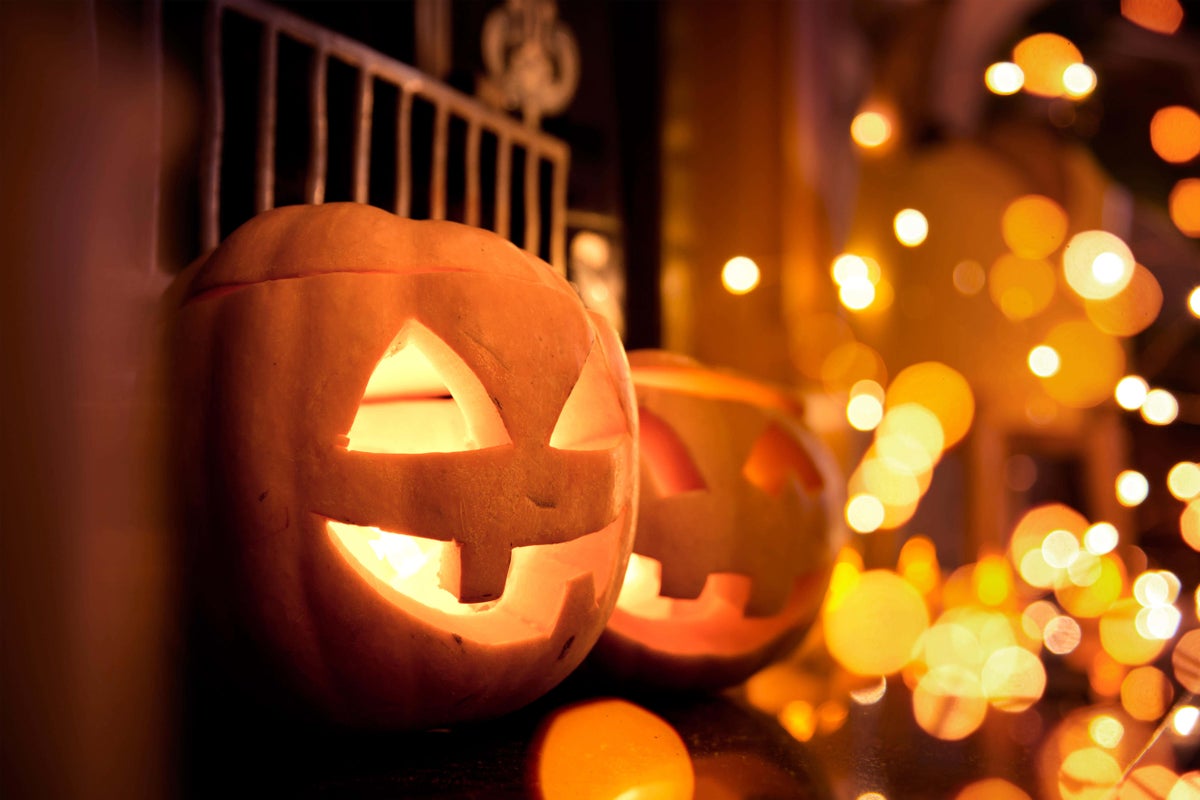 Costco Offers Unique Heirloom Pumpkins Under $7 for Fall Decor