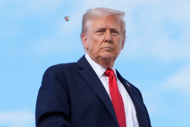 <p>Roughly $10 million in contraceptives destined for low-income countries has been destroyed. They were part of the Trump administration’s efforts to close USAID. </p>