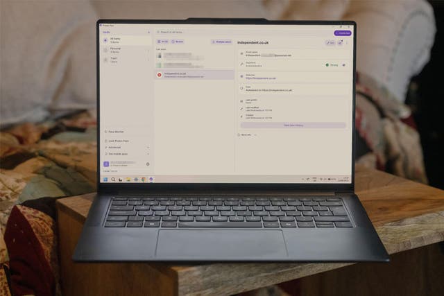 <p>Using a password manager such as Proton Pass can be a useful way to increase your online online security </p>