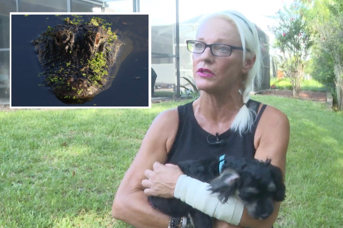 Florida woman fights off five-foot alligator with bare hands after it attacked her dog Florida woman fights off five-foot alligator with bare hands after it attacked her dog