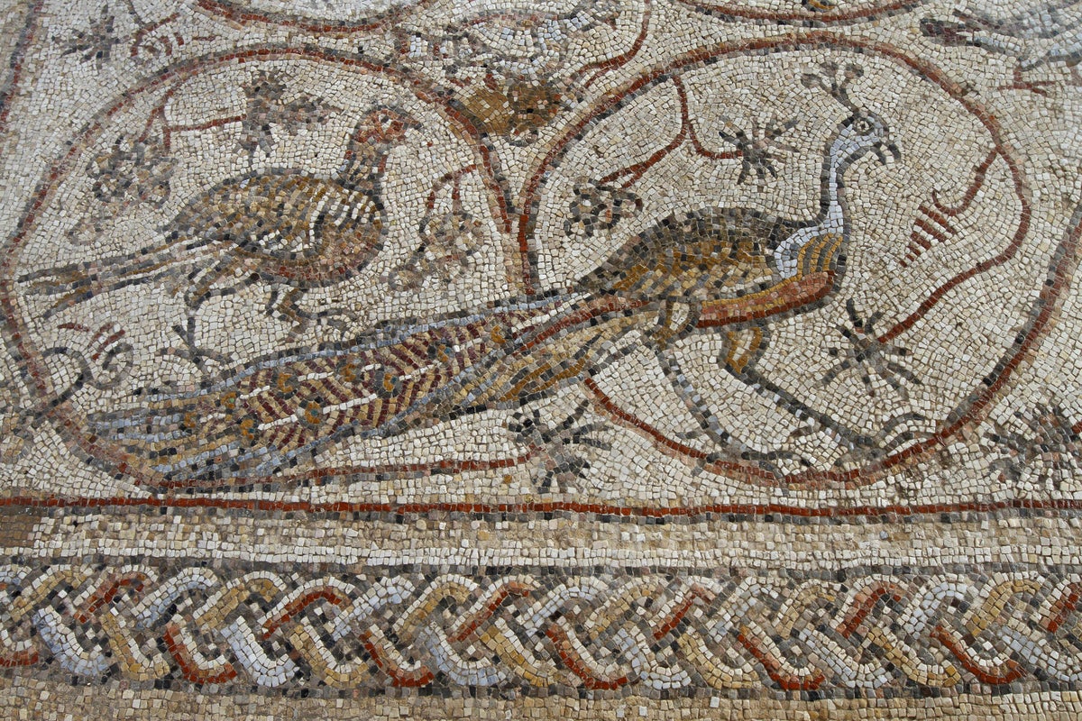 Israel threatens to strike museum storehouse containing ‘unique’ Palestinian artefacts, archaeologists say