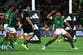 All Blacks suffer heaviest-ever defeat as Springboks dismantle New Zealand