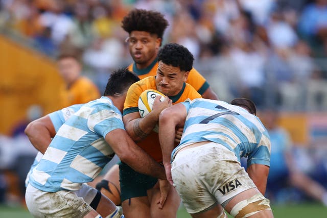 <p>Hunter Paisami of the Wallabies is tackled during The Rugby Championship match between Australia Wallabies and Argentina Pumas</p>