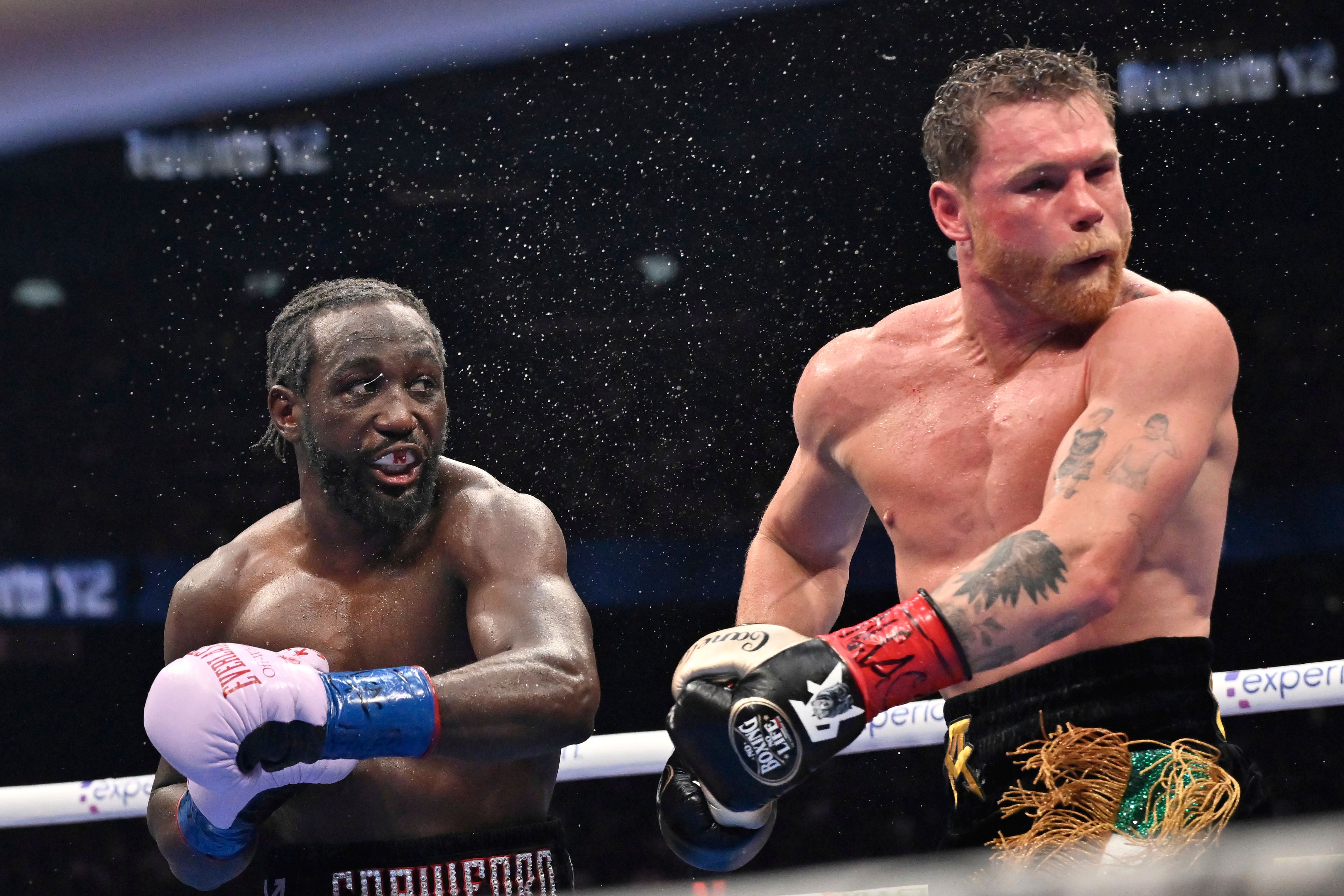 Terence Crawford beat Canelo Alvarez in Las Vegas (David Becker/AP)