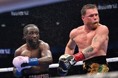 Terence Crawford reacts to punch he landed on Canelo Alvarez that went viral
