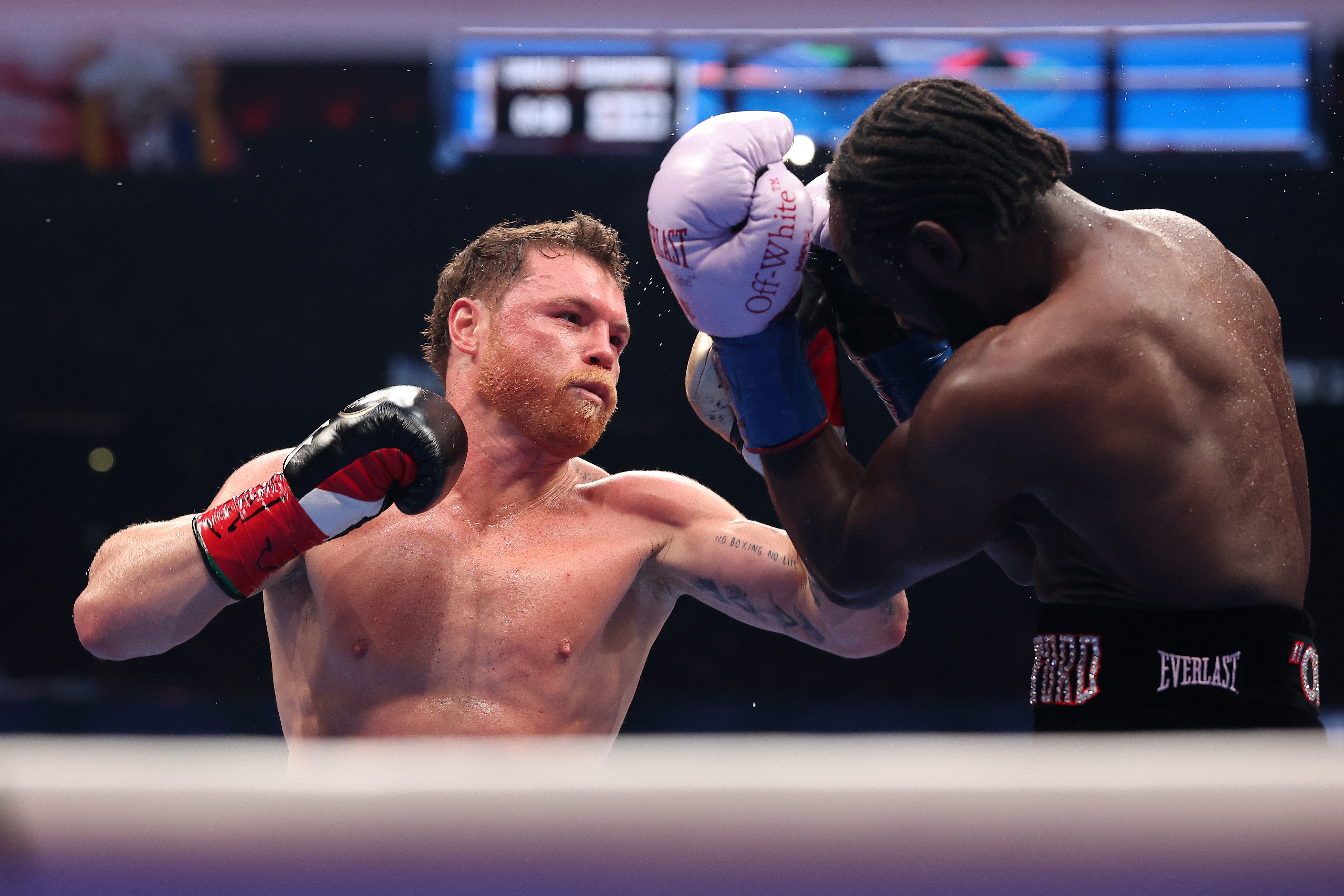 <p>Canelo Alvarez hunts down Terence Crawford</p>