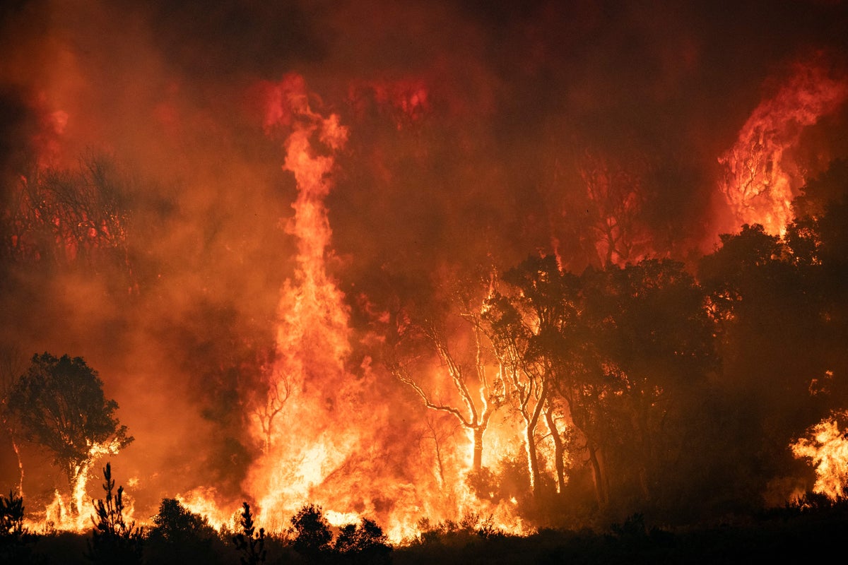 Wildfires are blazing across Africa – but leaders like Trump are turning away