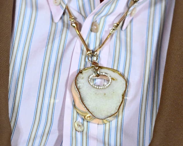 <p>Elton John wearing a necklace made from his own patella</p>