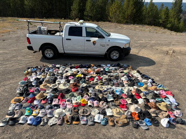 <p>Yellowstone geologists have collected these and hundreds of other hats from sensitive thermal areas throughout the national park this year</p>