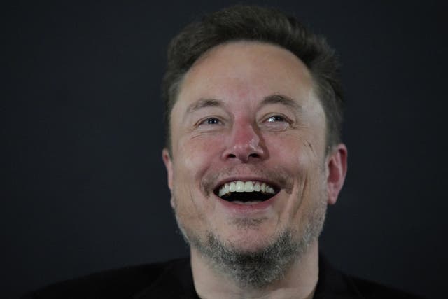 <p>Tesla and X owner Elon Musk made a guest appearance at the Unite the Kingdom event in London</p>