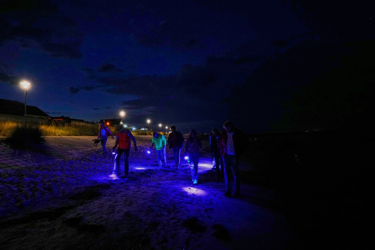 Finding happiness in amber: On Germany's Baltic coast, people go hunting for the precious pieces