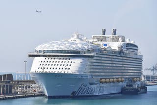 Royal Caribbean cruise ship returns to Miami after onboard fight leaves